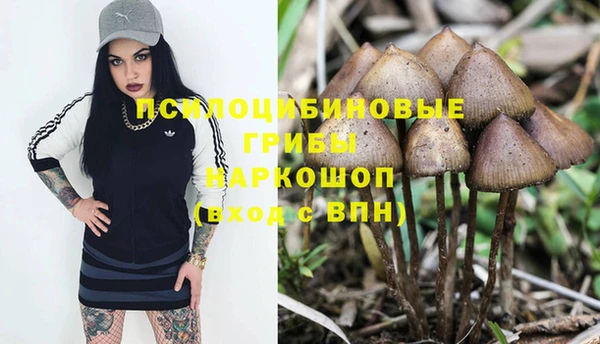 герыч Аркадак