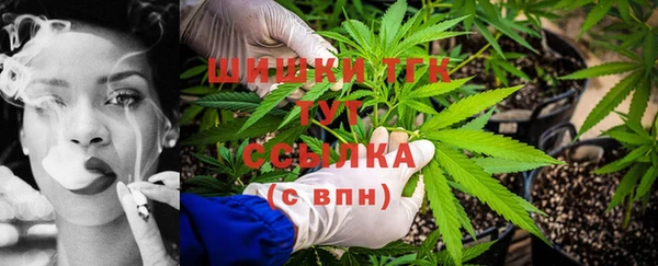 спайс Арсеньев