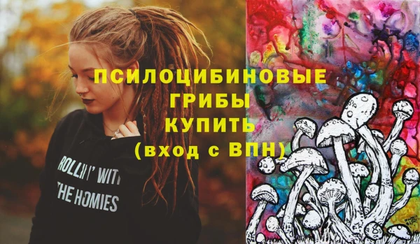 спайс Арсеньев