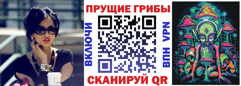 купить наркотик MEGA Псилоцибиновые грибы Magic Shrooms Курган